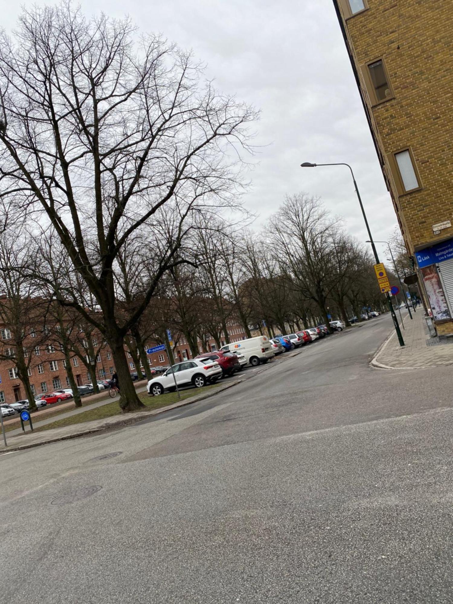 Comfort Appartment In Vaernhem, Malmoe Eksteriør billede